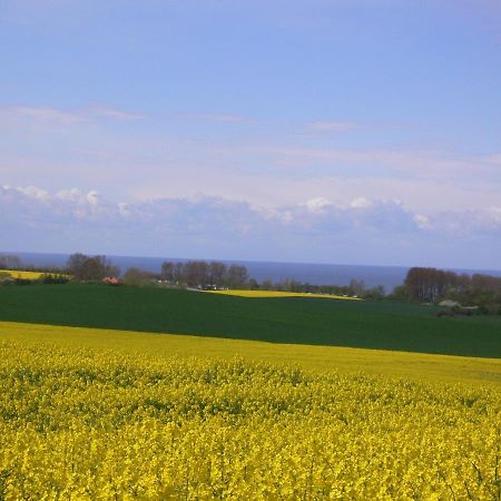 Kägsdorf Blockhausヴィラ エクステリア 写真