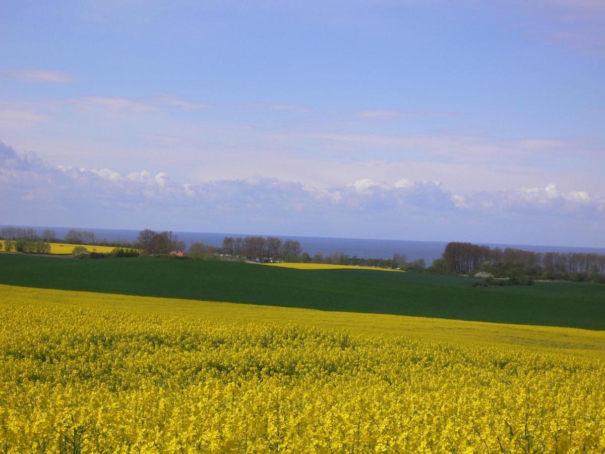 Kägsdorf Blockhausヴィラ エクステリア 写真